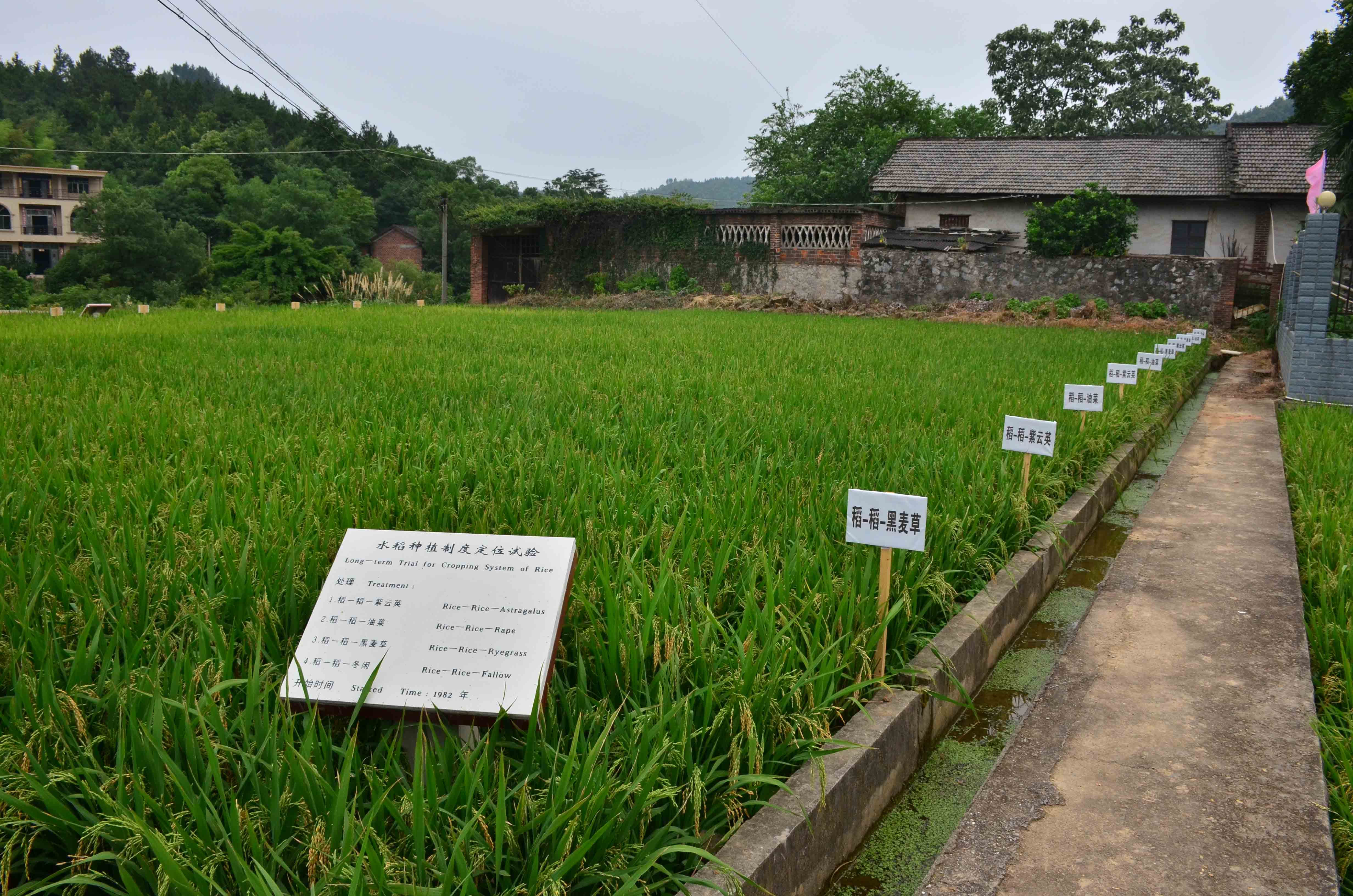 回收廢棄油脂